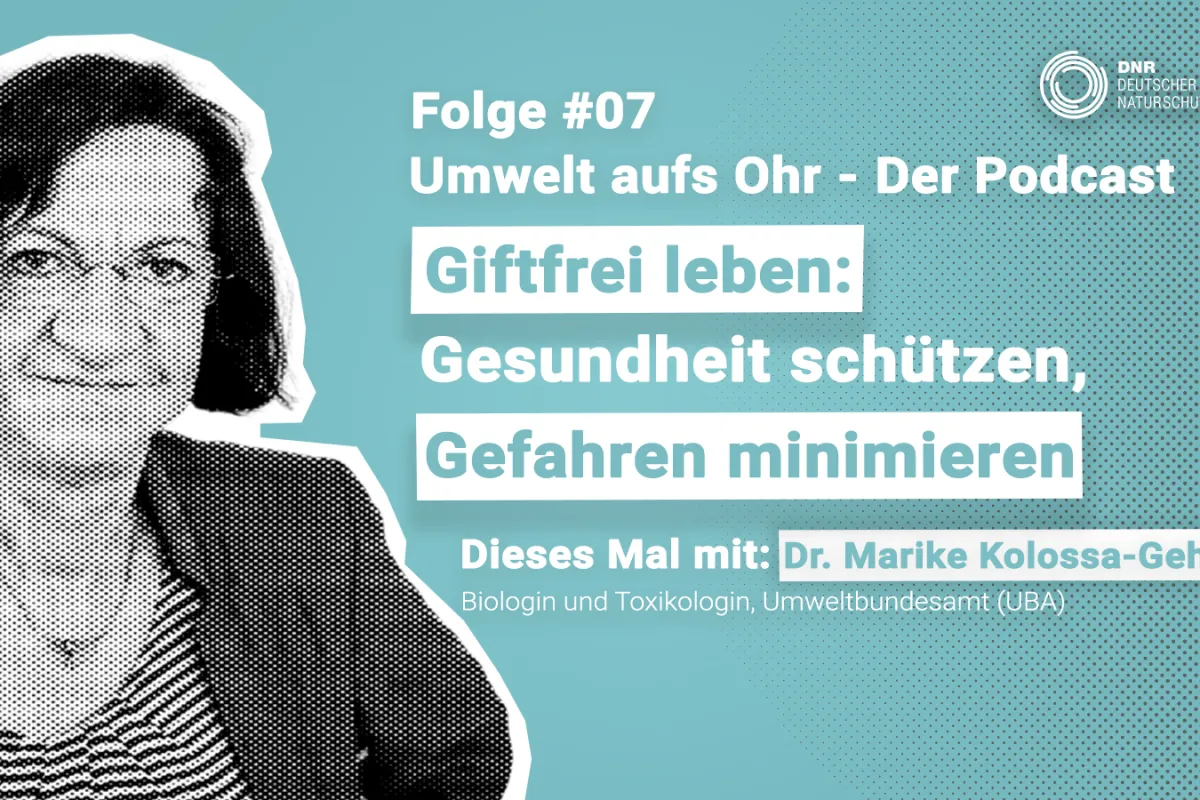 Sharepic zur Podcast-Folge 7: Giftfrei leben: Gesundheit schützen, Gefahren minimieren